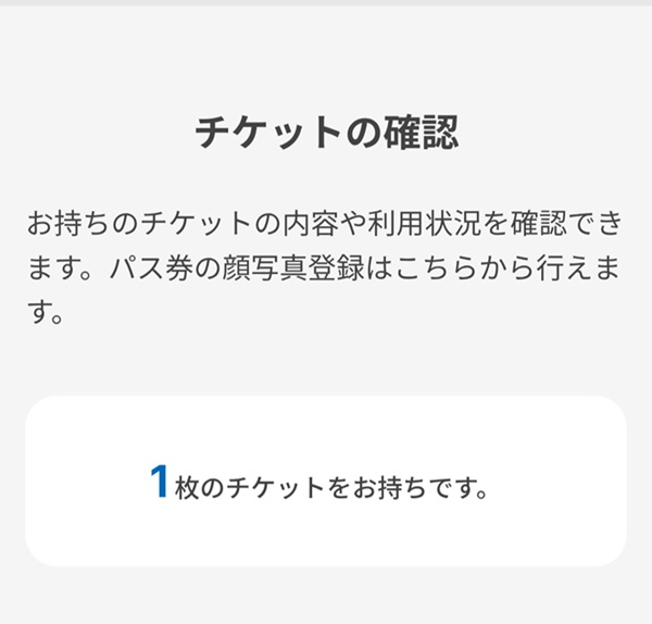1枚のチケットをお持ちです